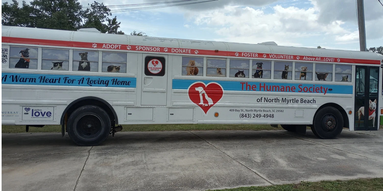 Bus Signs & Banners