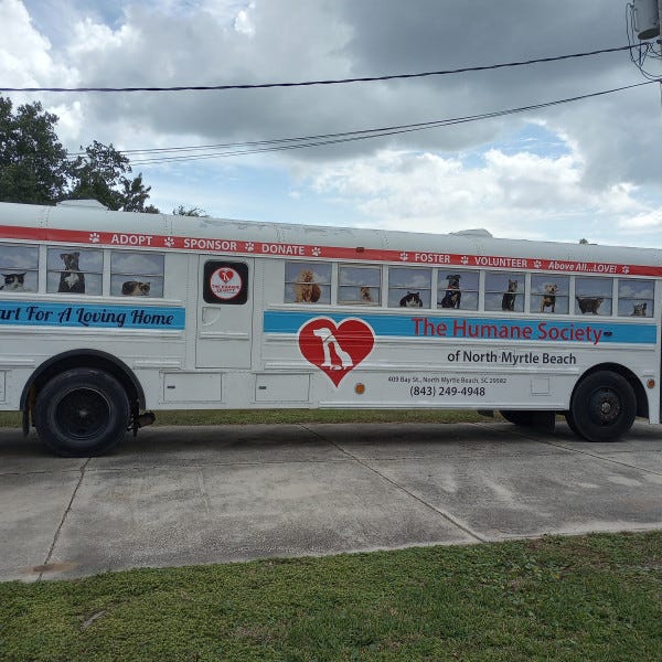 Bus