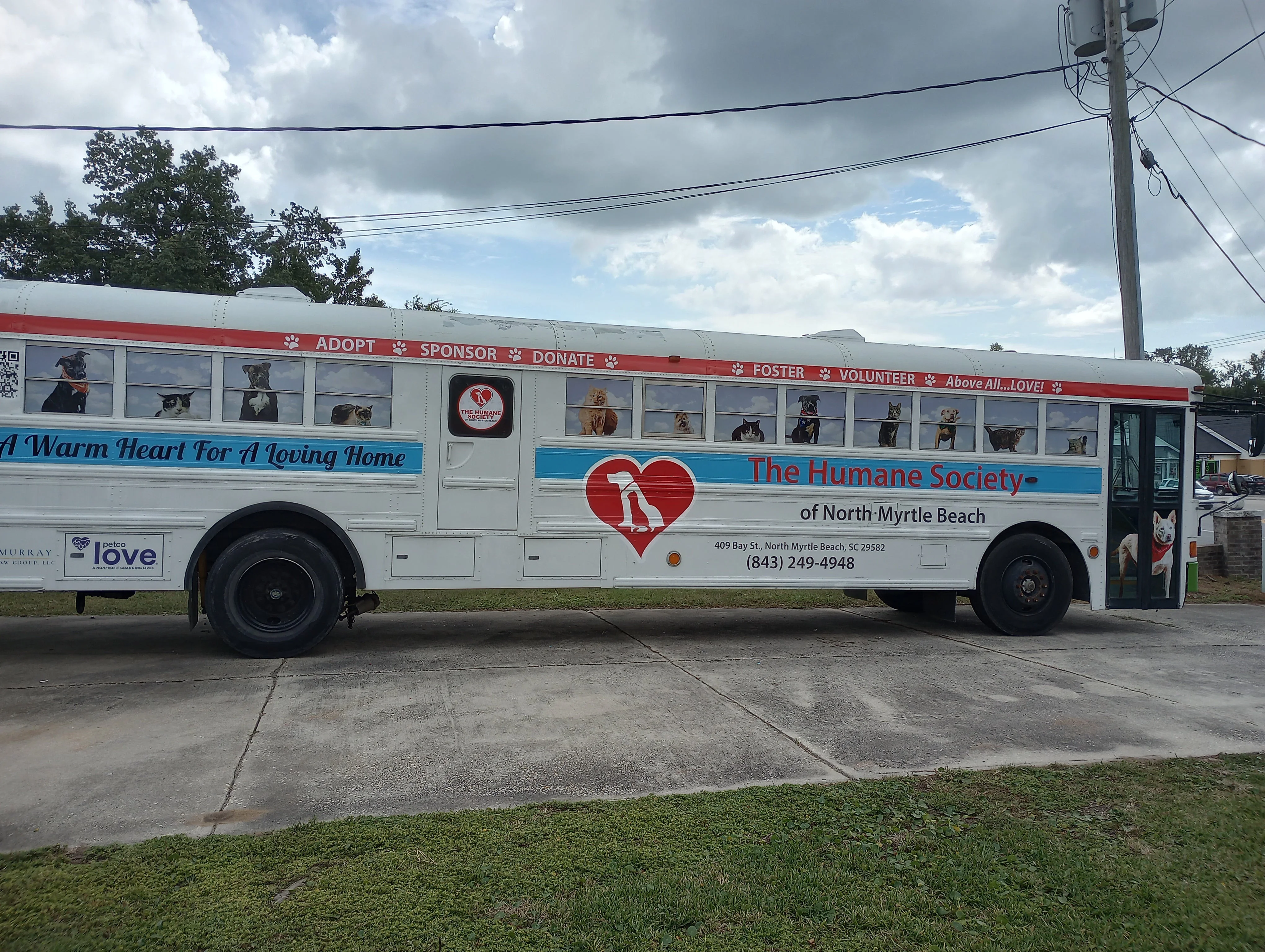Bus Signs & Banners