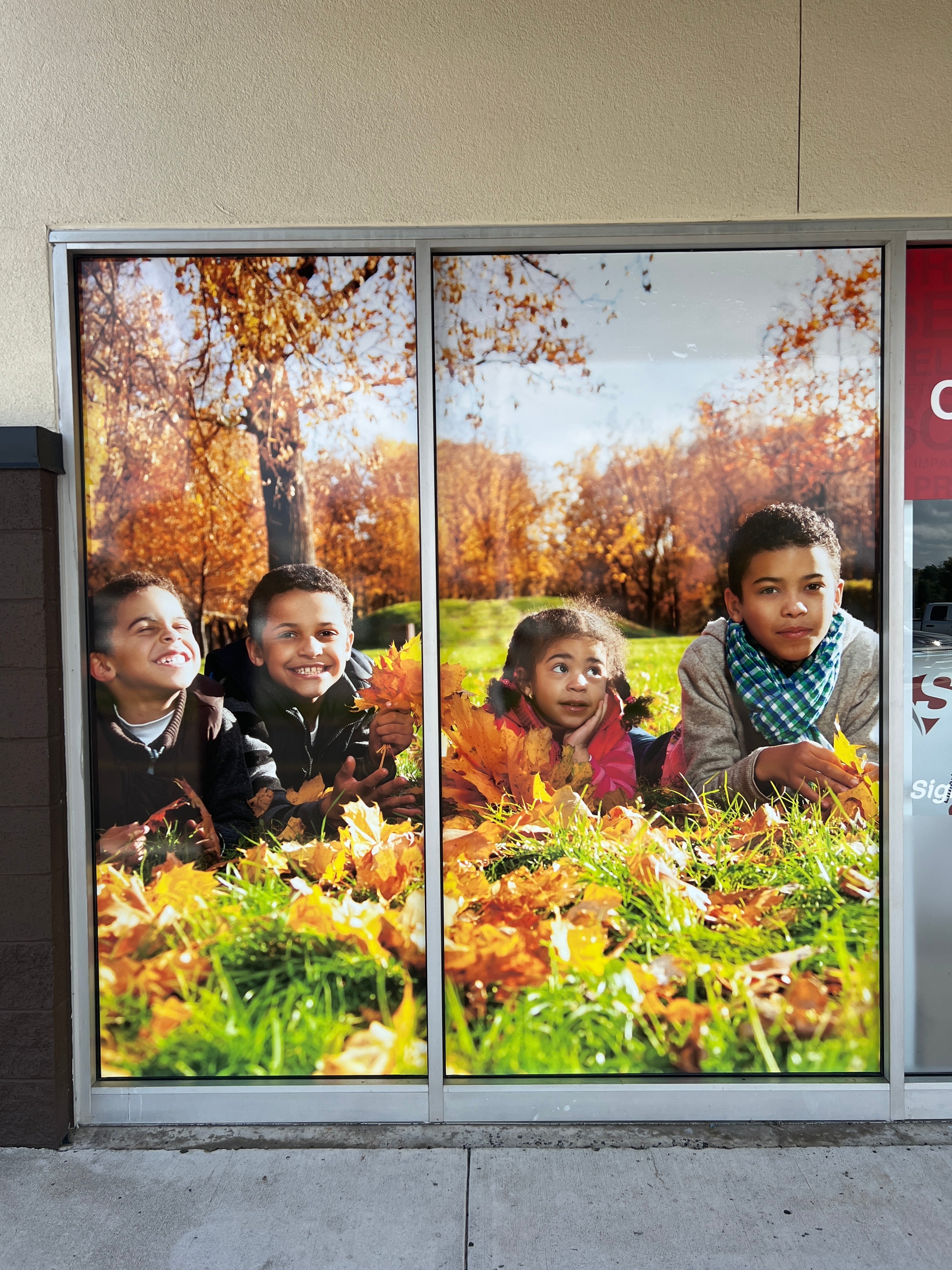 Window Signs & Signage