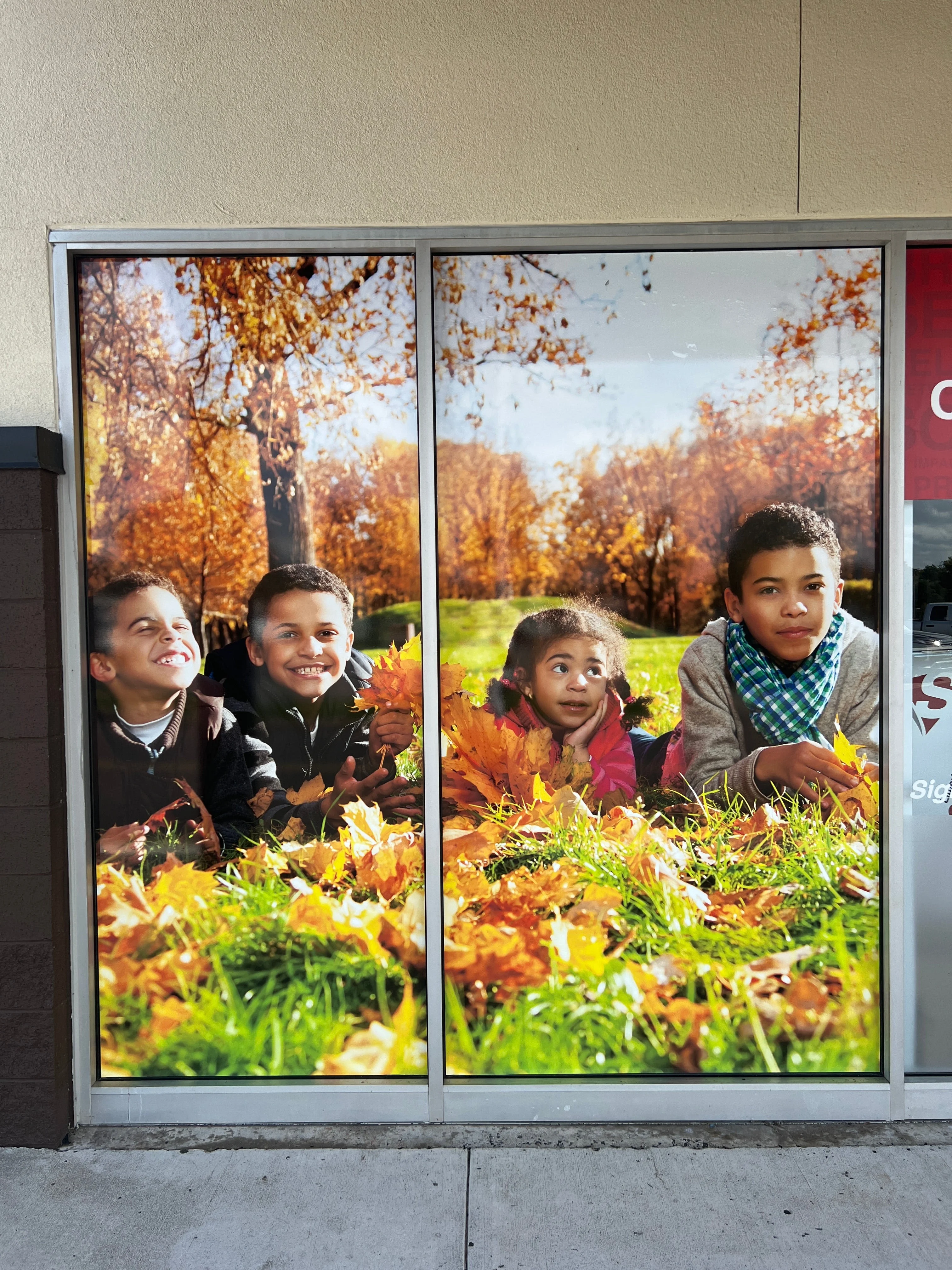 Window Signs & Signage