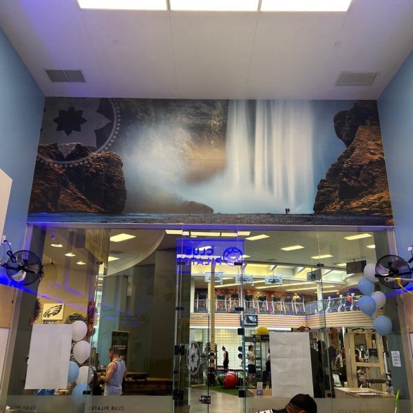 Wall Graphics - Murals