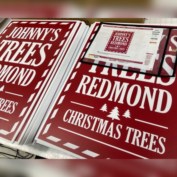 ‘Tis the Season for Holiday Tree Shopping, Redmond, WA