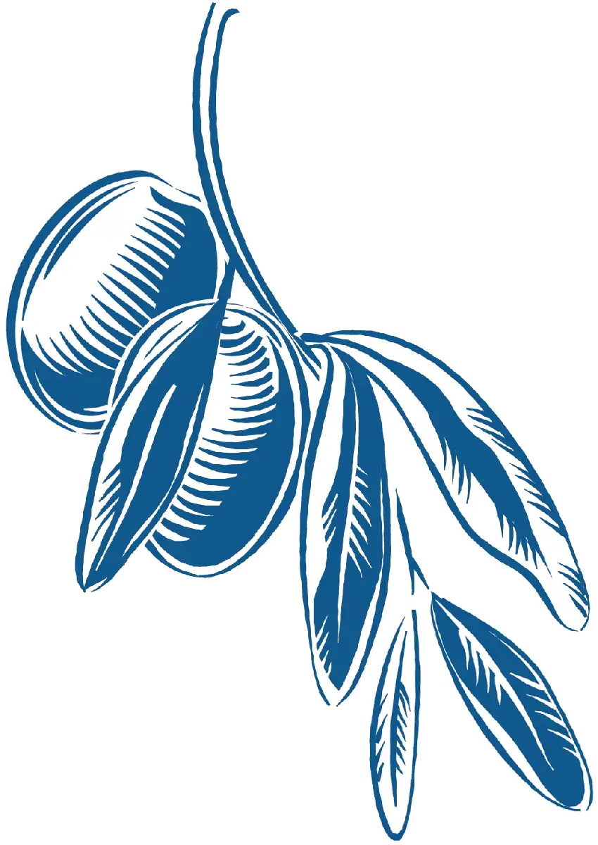 olive branch illustrated gif